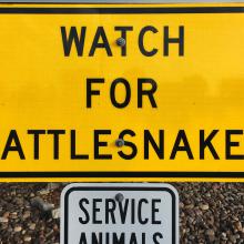 Rattlesnake warning sign