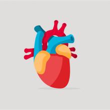 Heart, Health, and Hope, Congestive Heart Failure 